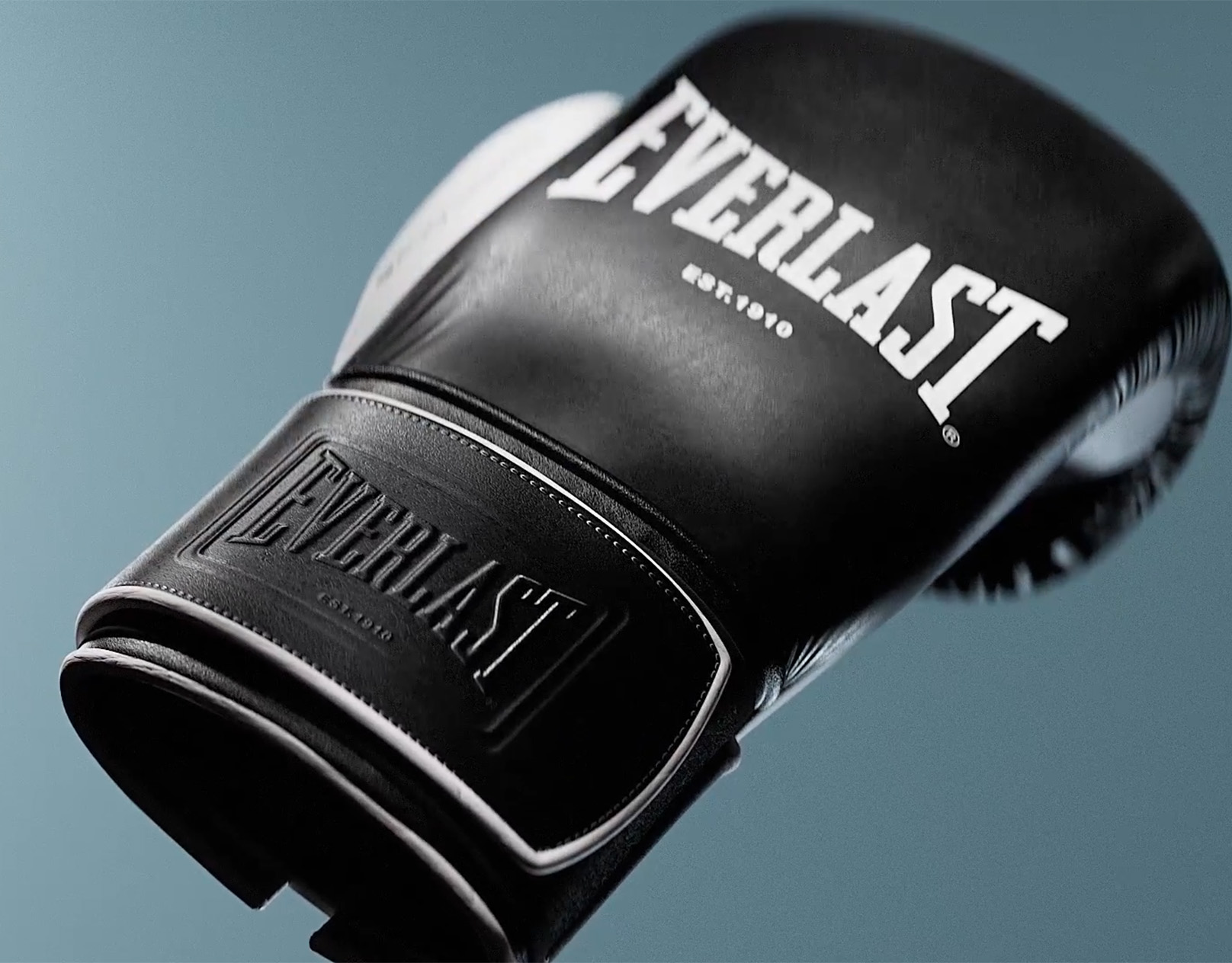 Everlast — Powerlock OG